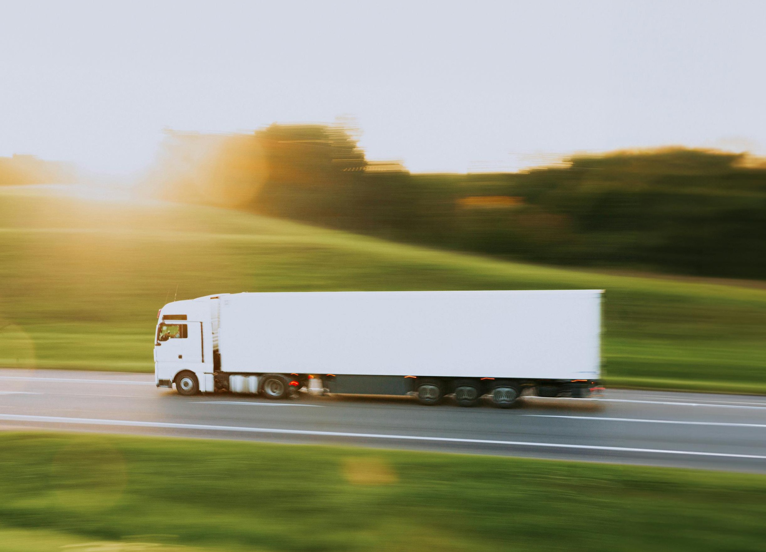 Export & Delivery